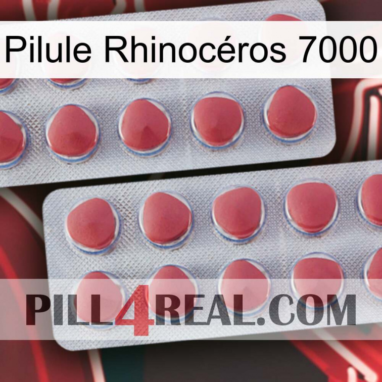 Pilule Rhinocéros 7000 19
